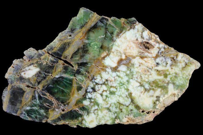 Polished Green-White Opal Slab - Western Australia #95229